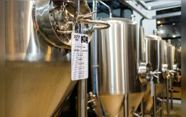 Cervejas artesanais paranaenses são destaque no país