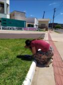 Imagem de mulher rezando em frente de hospital chama atenção