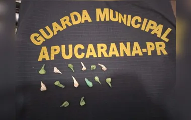 GCM prende homem com 14 pedras de crack em Apucarana