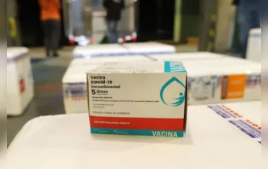 Novo lote com 360 mil doses de vacina chega ao Paraná