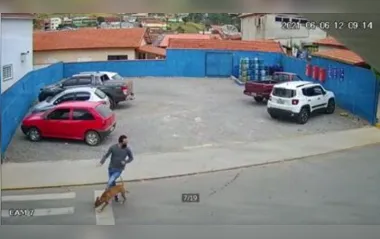 Viralizou: Cachorro correndo em rua 'atropela' homem; veja