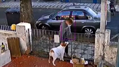 Câmera registra homem furtando roupa de cadela; vídeo