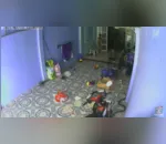 Cobra venenosa invade residência e tenta atacar bebê; Vídeo