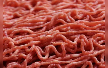 Criminosos furtam 11 quilos de carnes de escola de Apucarana