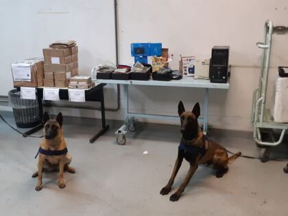 Cães da PRF encontram drogas em caixas durante treinamento