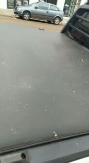 Pitanga registra pequenos flocos de neve; assista
