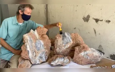 Novo fóssil de dinossauro é encontrado em obra de SP