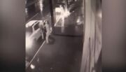 Vídeo: Homem desce do carro para urinar e veículo é roubado