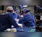 Cirurgiões transplantam um coração de porco em um humano