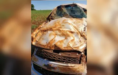 Motorista morre após capotar caminhonete na PR-491