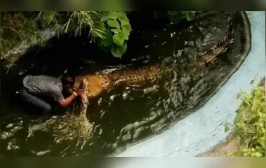 Turista é atacado por crocodilo após dar abraço no animal