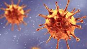 Nova variante do coronavírus é descoberta na África do Sul