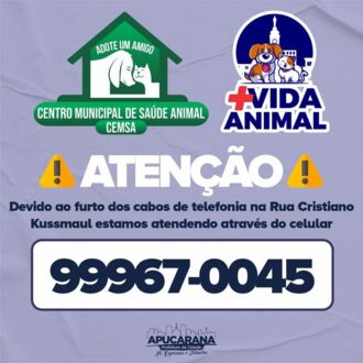 Telefone do Centro Animal de Apucarana está indisponível