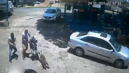 Vídeo: Cães enfrentam assaltantes para proteger dono no PR