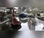 Carro invade Praça do Japão e cai em tanque de peixes