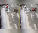 Veja: Macaco ataca criança e a arrasta pelo cabelo na China