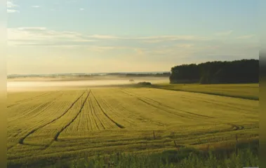 Preço de terras agrícolas valoriza 21% na região