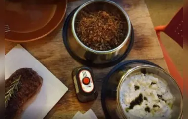 Restaurante serve comida em pote de cachorro e gera polêmica