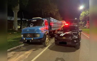 Polícia Civil do MS recupera veículos roubados em Marilândia do Sul