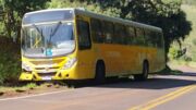 Ônibus foi encontrado abandonado na rodovia PR 453, entre Borrazópolis e Cruzmaltina