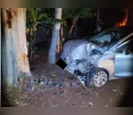 O carro bateu contra uma árvore no cruzamento das ruas Anu Coroca com Rua Andorinha do Rio