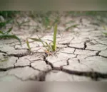 Simepar aponta déficit de chuvas no estado no mês de julho