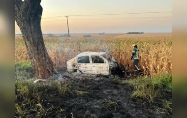 Motorista colide contra árvore e morre após carro pegar fogo