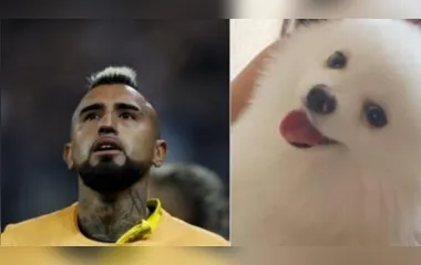 Arturo Vidal fez apelo pelas redes sociais para encontrar cão desaparecido.