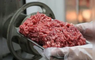 A carne moída tem novas regras para a comercialização deste primeiro de novembro