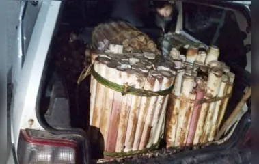 Suspeito de transporte de palmito ilegal é preso no Litoral do PR