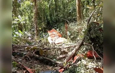 Os destroços do avião foram encontrados por volta do meio dia, em área de mata, no município de Canelinha.