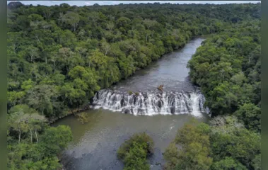 Paraná sanciona duas leis que incentivam novas práticas ambientais