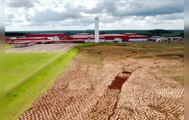 Paraná ganha o maior frigorífico de suínos da América Latina