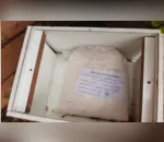 A urna foi encontrada em um terreno baldio localizado nas proximidades do Parque Barigui