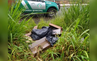 GM identifica pessoa responsável por descartar resíduos em Arapongas