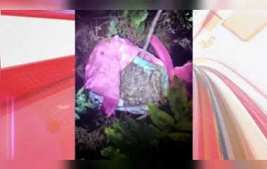 O trabalhador se deparou com a mochila cor de rosa no meio de uma mata