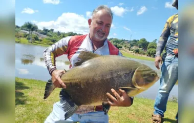 Quebrando recordes: pescador pega tambaqui de 30 Kg em lago do Paraná