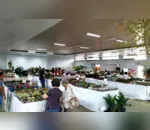 Arquivo  3ª edição da Expo Flores em Ivaiporã