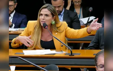 Deputada de Goiás denuncia crime que tem apucaranense como suspeito