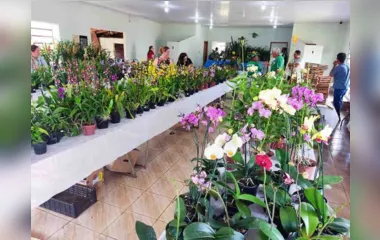 9ª edição da Festa das Flores de Jardim Alegre supera expectativas