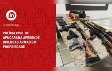 Polícia Civil de Apucarana apreende diversas armas em propriedade