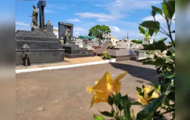 Confira os sepultamentos deste domingo (28) em Apucarana e região