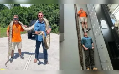 A cobra tem cerca de seis metros