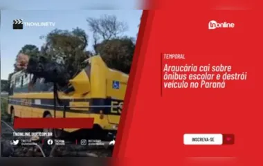 Araucária cai sobre ônibus escolar e destrói veículo no Paraná