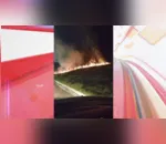 Fogo se alastrou nas margens da rodovia