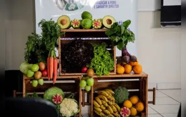 Apucarana e os municípios da região foram fundados com o objetivo de produzir alimentos, de acordo com o prefeito Júnior da Femac.