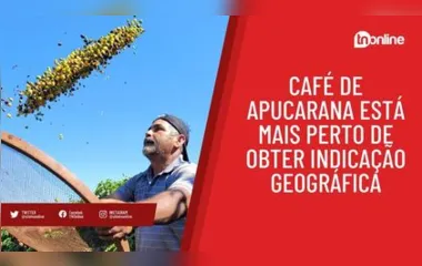 Café de Apucarana está mais perto de obter indicação geográfica