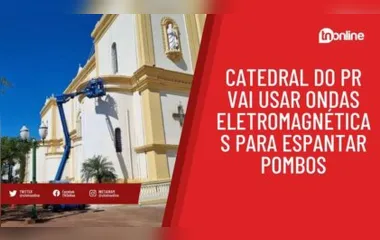 Catedral do PR vai usar ondas eletromagnéticas para espantar pombos
