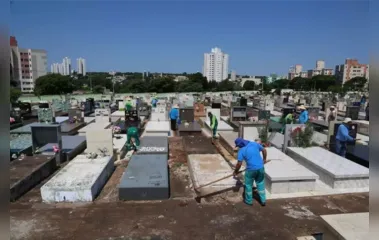 Venda de sepulturas está suspensa em Maringá; saiba por quê