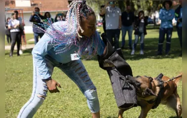 Colaboradores da Sanepar sofrem com ataques de cães no PR; entenda